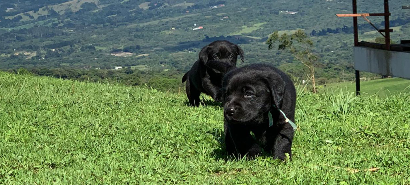 MAS QUE AMIGOS 
